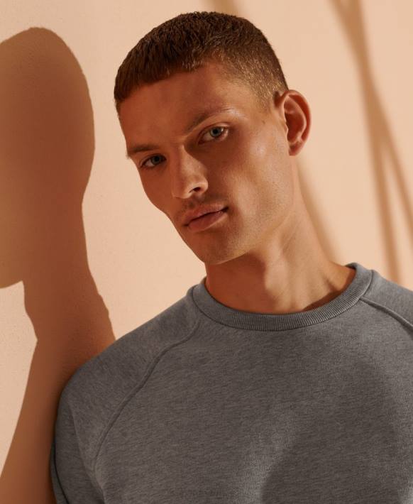 erkekler Superdry açık gri sınırlı sayıda organik pamuklu sweatshirt NNTB5220