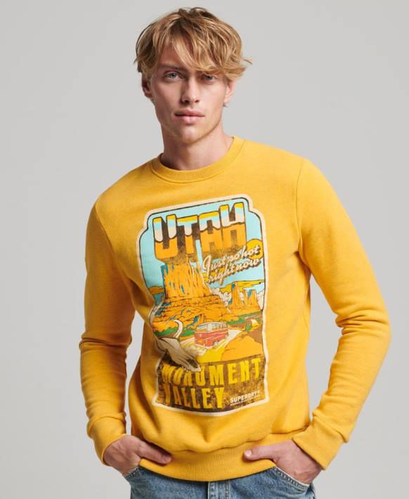 erkekler Superdry altın seyahat kartpostalı grafik sweatshirt NNTB5079