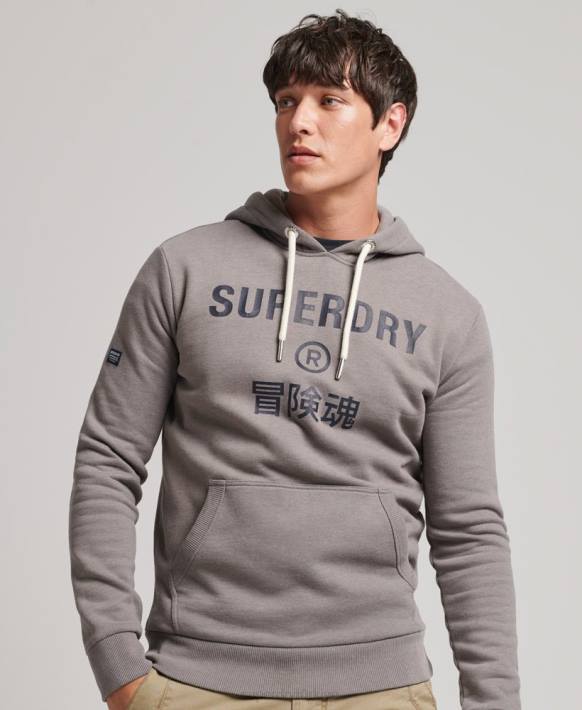 erkekler Superdry gri şirket logosu marn kapşonlu NNTB5004