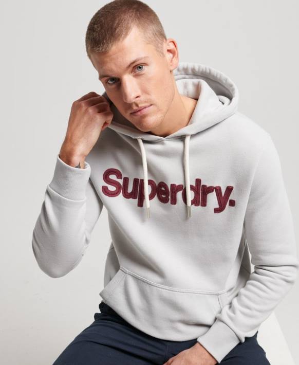 erkekler Superdry gri vintage core logo klasik kapşonlu NNTB531