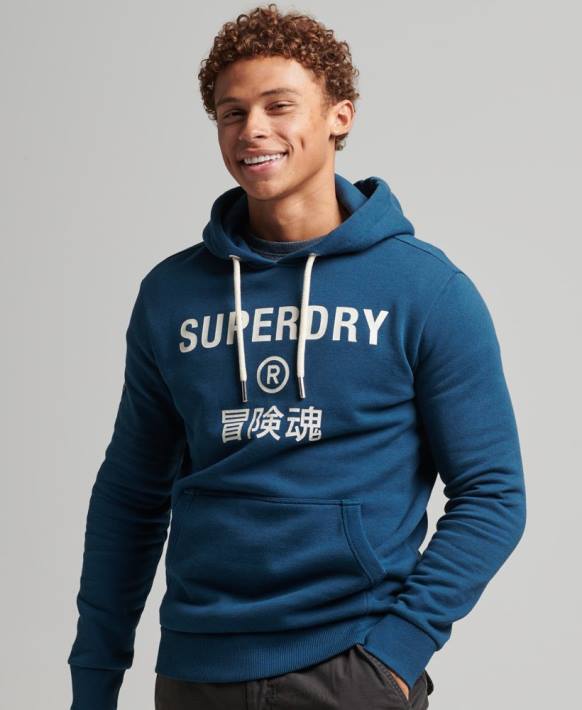 erkekler Superdry mavi şirket logosu marn kapşonlu NNTB620