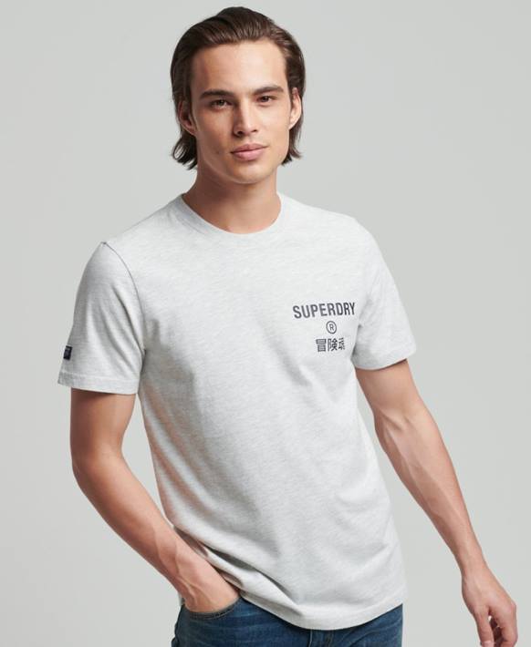 erkekler Superdry açık gri eski kurumsal logolu marn t-shirt NNTB4829