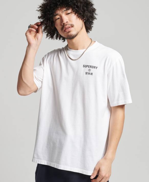 erkekler Superdry beyaz kod çekirdekli spor tişört NNTB4920