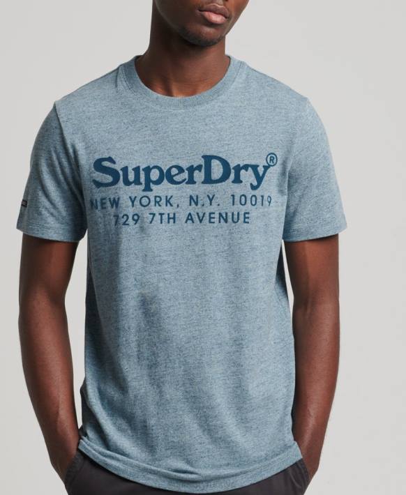 erkekler Superdry mavi mekan tonal logolu tişört NNTB4893