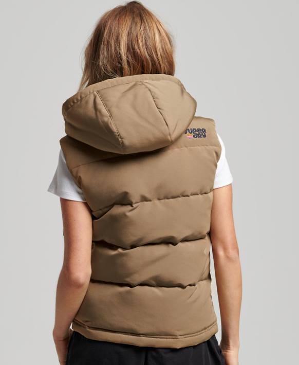 kadınlar Superdry kahverengi eski kapüşonlu everest jile NNTB3531