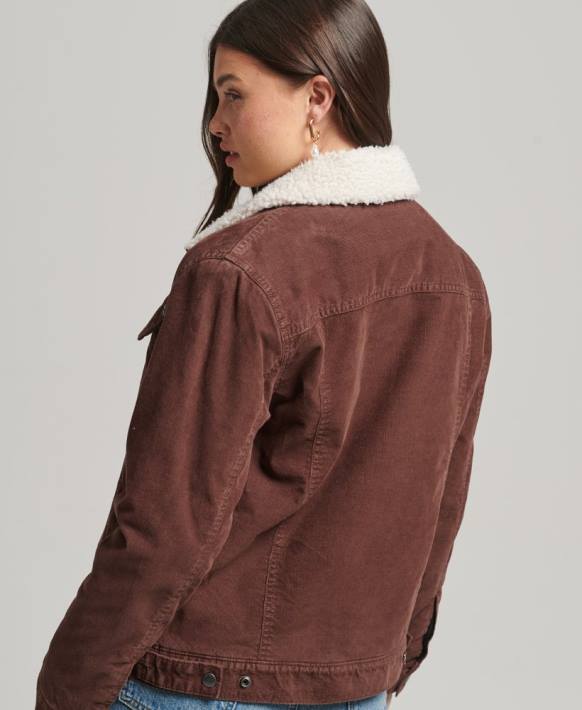 kadınlar Superdry kahverengi sherpa kordonlu kamyon şoförü ceketi NNTB3548
