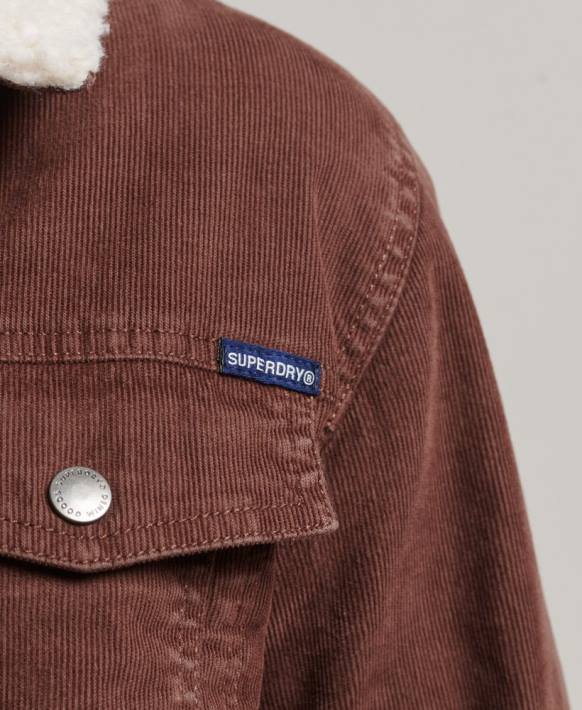 kadınlar Superdry kahverengi sherpa kordonlu kamyon şoförü ceketi NNTB3548