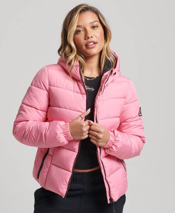 kadınlar Superdry pembe ruh sporları kirpi NNTB5428