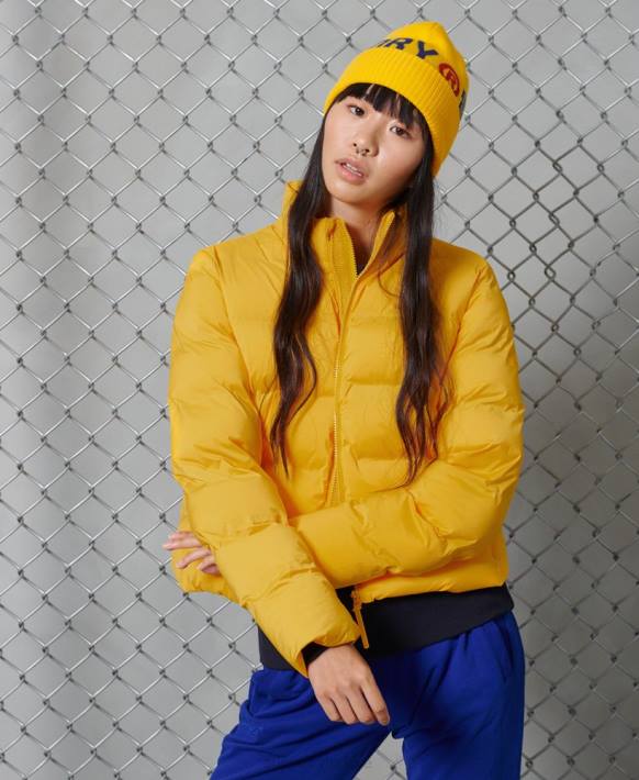 kadınlar Superdry sarı mahsul kirpi NNTB5693