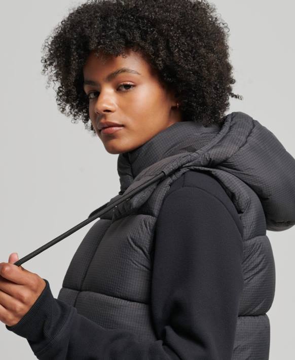 kadınlar Superdry siyah taç çizgisi kısa dolgulu jile NNTB3581