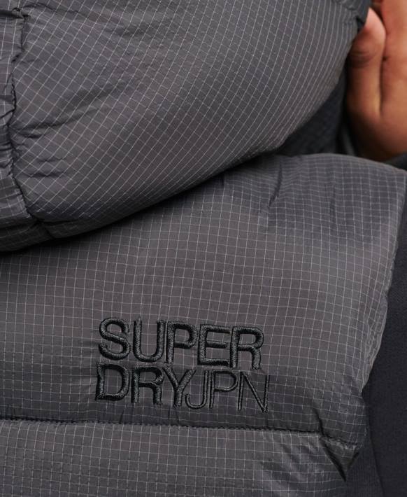 kadınlar Superdry siyah taç çizgisi kısa dolgulu jile NNTB3581