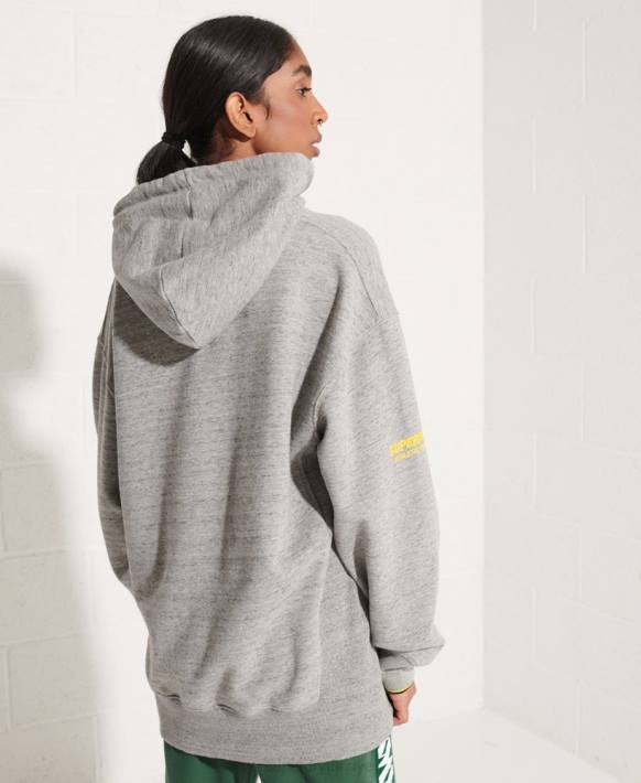 kadınlar Superdry açık gri büyük beden kapüşonlu sweatshirt NNTB5976