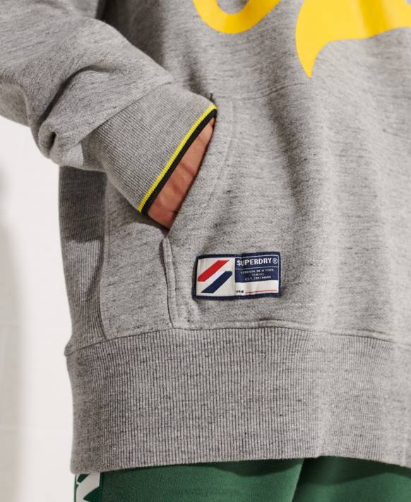 kadınlar Superdry açık gri büyük beden kapüşonlu sweatshirt NNTB5976