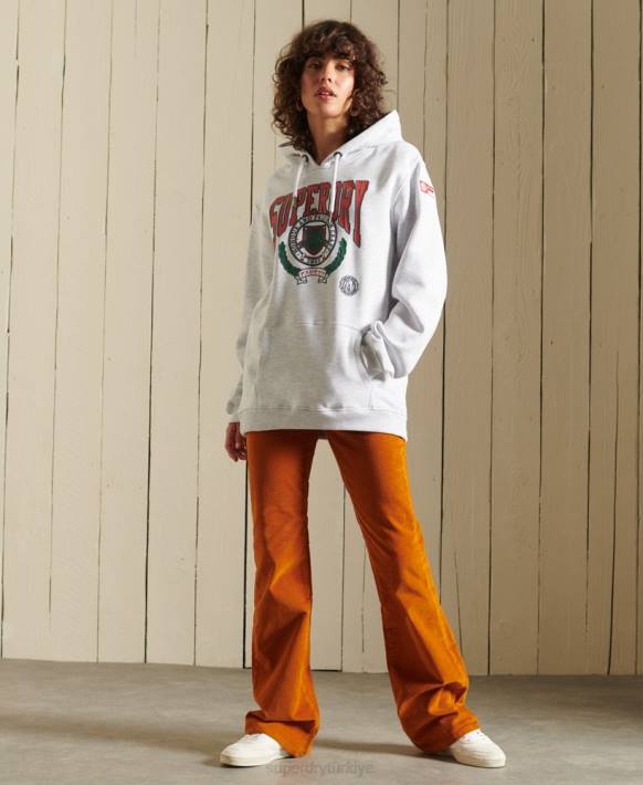 kadınlar Superdry açık gri boho grafik ana hoodie NNTB5956
