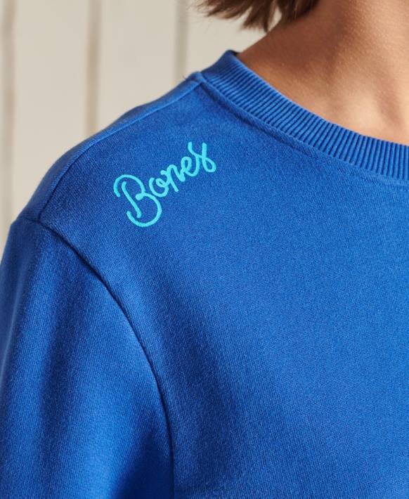 kadınlar Superdry açık mavi büyük beden boho ve rock ekibi sweatshirt NNTB6167