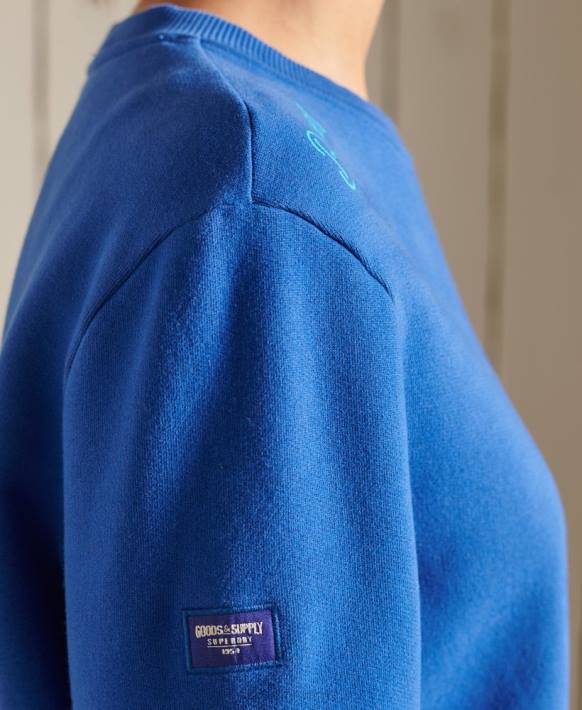 kadınlar Superdry açık mavi büyük beden boho ve rock ekibi sweatshirt NNTB6167