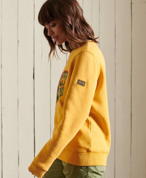 kadınlar Superdry altın miras dağ ekibi sweatshirt NNTB3463