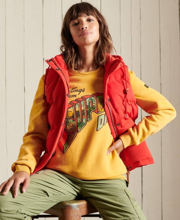kadınlar Superdry altın miras dağ ekibi sweatshirt NNTB3463