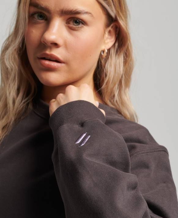 kadınlar Superdry gri çekirdek ekip sweatshirt NNTB3313