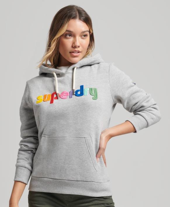 kadınlar Superdry gri işlemeli gökkuşağı logosu kapşonlu NNTB3446
