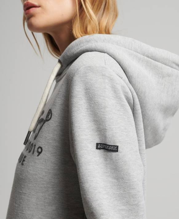 kadınlar Superdry gri mekan faiz kapşonlu NNTB5761