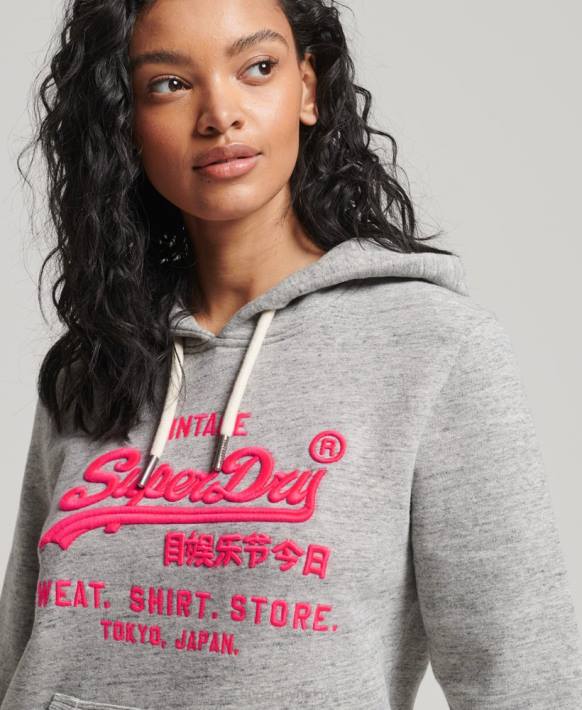 kadınlar Superdry gri neon vintage logosu kapşonlu NNTB3417
