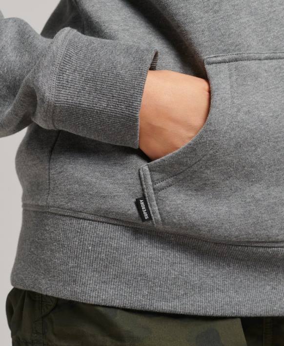 kadınlar Superdry gri organik pamuklu temel logolu kapşonlu NNTB6108