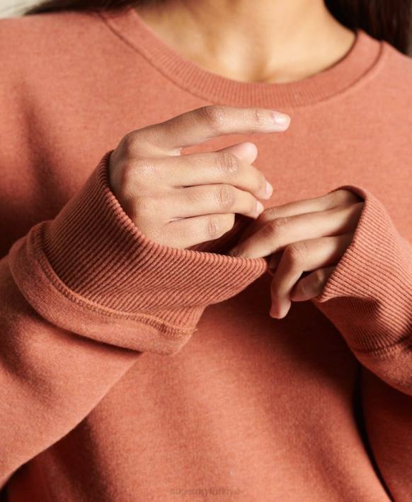 kadınlar Superdry kahverengi organik pamuklu büyük beden eski logolu sweatshirt NNTB6033