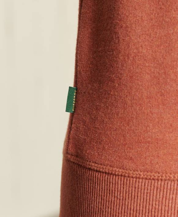 kadınlar Superdry kahverengi organik pamuklu büyük beden eski logolu sweatshirt NNTB6033