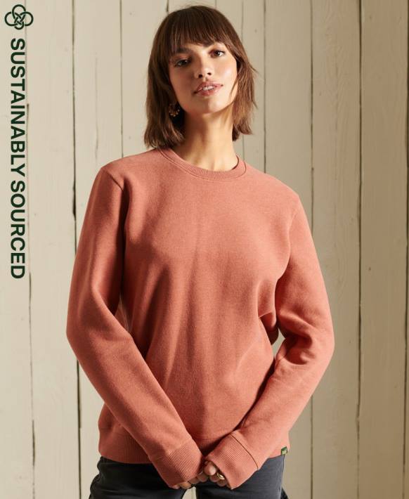 kadınlar Superdry kahverengi organik pamuklu eski logo ekip sweatshirt NNTB6139