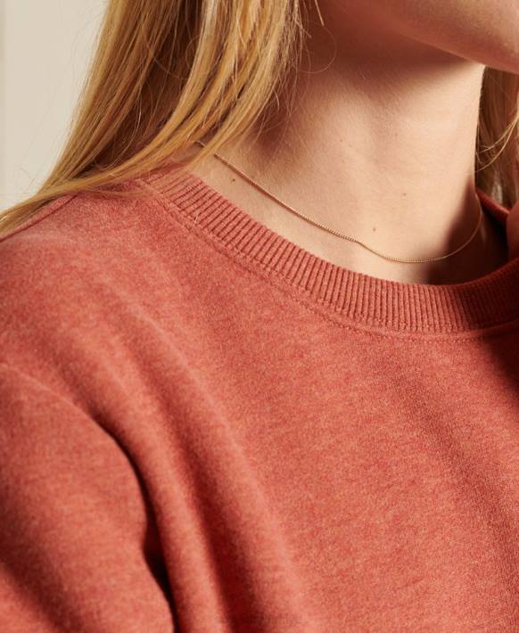 kadınlar Superdry kahverengi vintage logo ekip sweatshirt NNTB3444