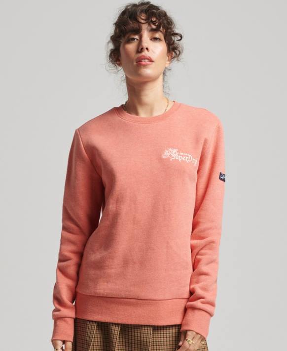 kadınlar Superdry mercan craft ekibi sweatshirt'ünde gurur NNTB3485