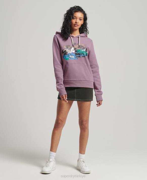 kadınlar Superdry mor japon vintage logo grafik kapşonlu NNTB3403
