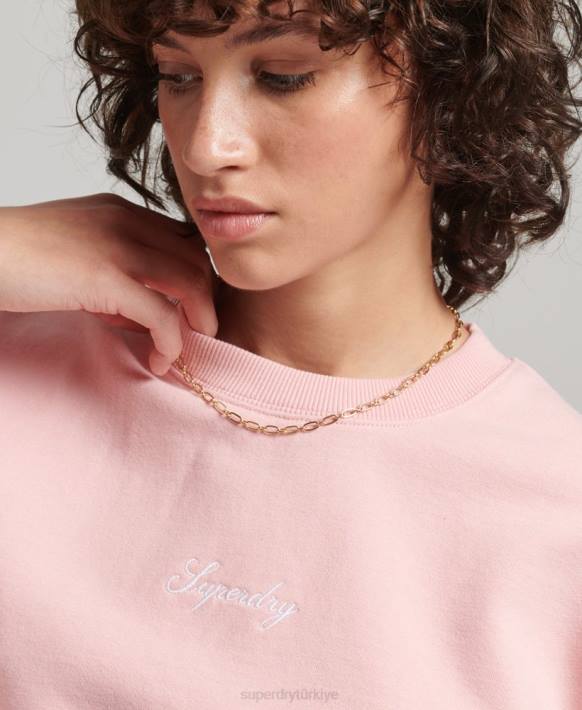 kadınlar Superdry pembe miras büyük beden işlemeli mürettebat sweatshirt NNTB5808