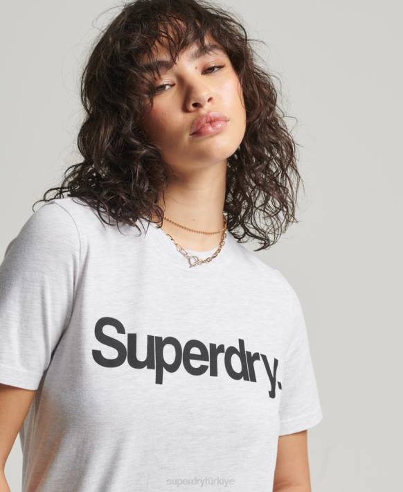 kadınlar Superdry açık gri çekirdek logolu tişört NNTB2760