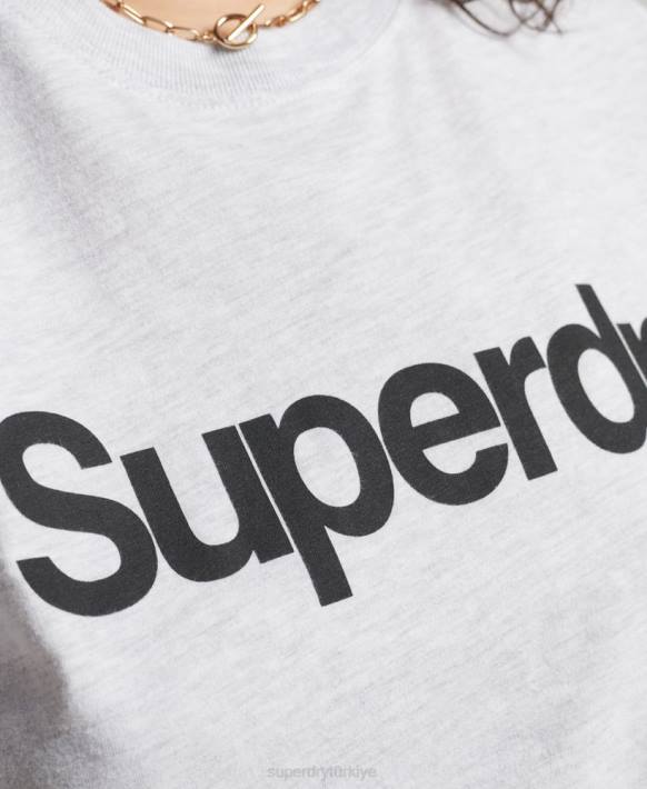 kadınlar Superdry açık gri çekirdek logolu tişört NNTB2760