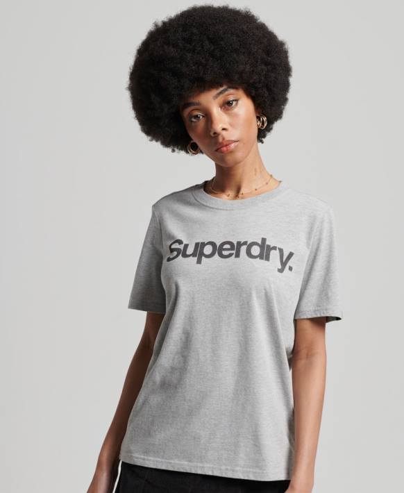 kadınlar Superdry açık gri çekirdek logolu tişört NNTB6281
