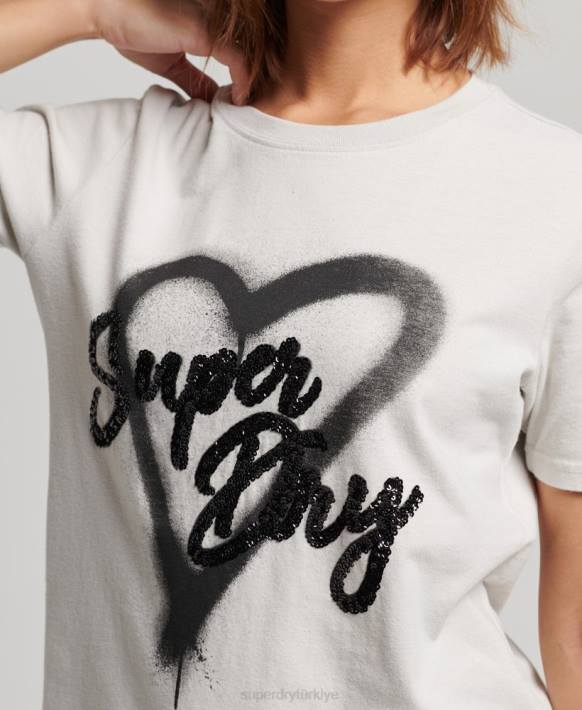 kadınlar Superdry açık gri eski işlemeli t-shirt NNTB2654