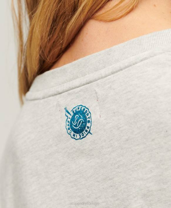 kadınlar Superdry açık gri iş giysisi yazılı grafik tişört NNTB2115