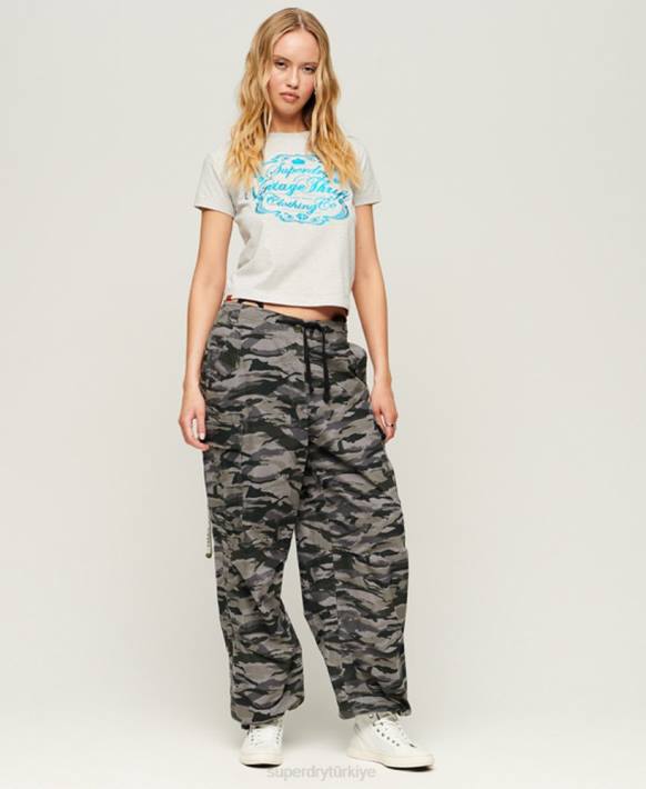 kadınlar Superdry açık gri iş giysisi yazılı grafik tişört NNTB2115