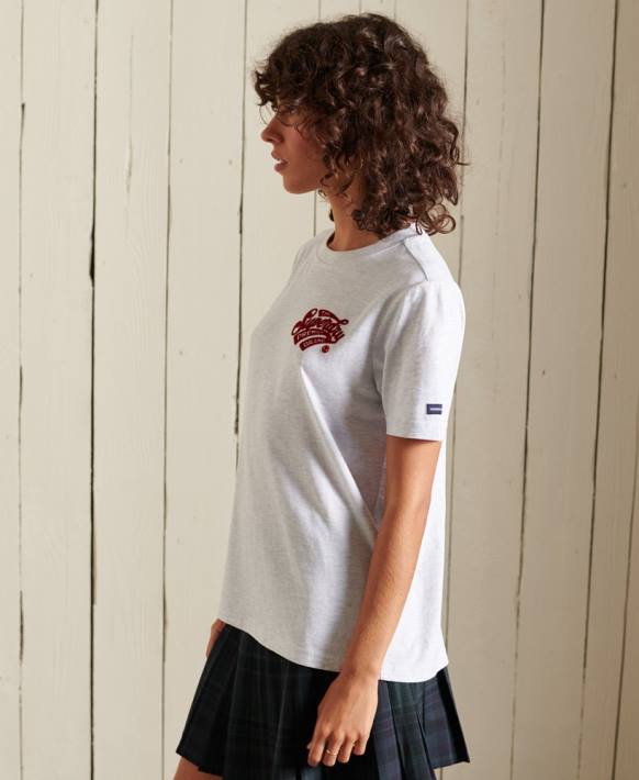 kadınlar Superdry açık gri script tarzı kolej floklu tişört NNTB2775