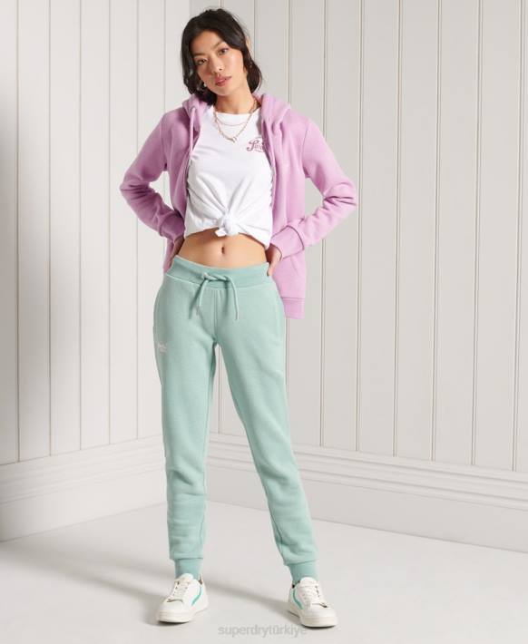 kadınlar Superdry beyaz simli ışıltılı t-shirt NNTB2861