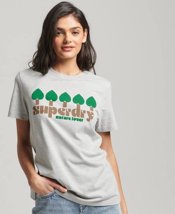 kadınlar Superdry gri vintage nostalji t-shirt NNTB2712