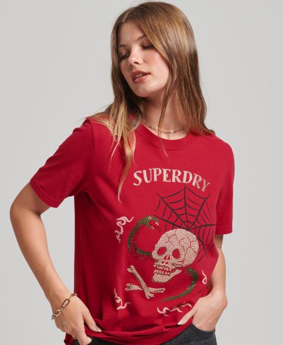 kadınlar Superdry kırmızı suika grafik t-shirt NNTB2798