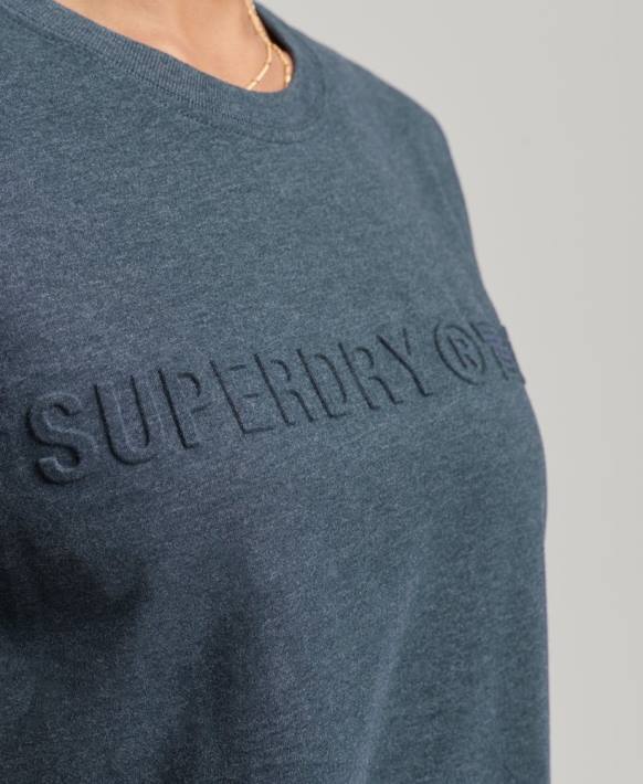 kadınlar Superdry mavi eski kurumsal logolu marn t-shirt NNTB2841