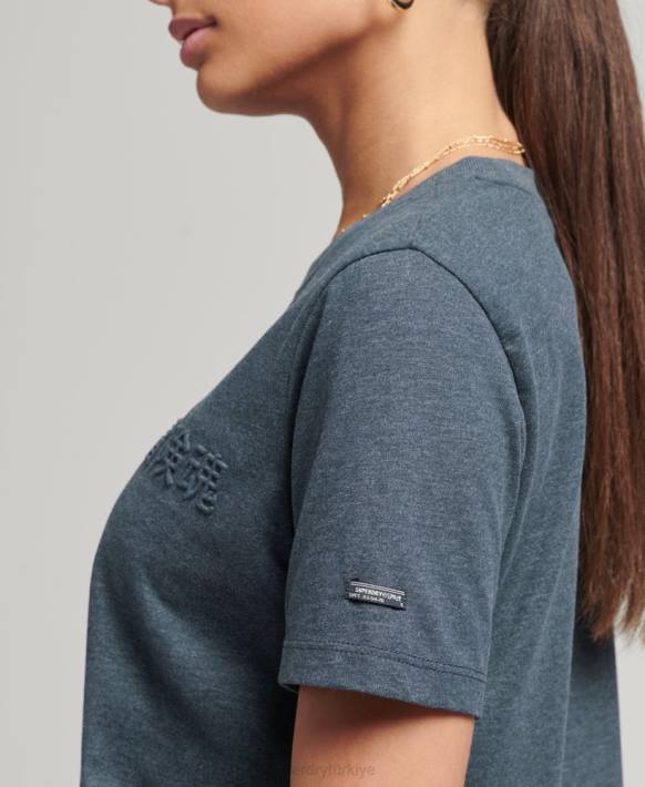 kadınlar Superdry mavi eski kurumsal logolu marn t-shirt NNTB2841