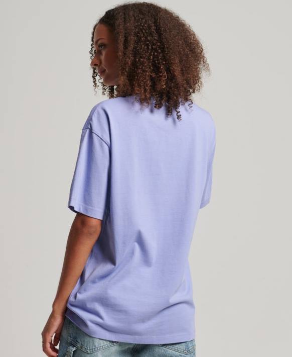 kadınlar Superdry mor logo aplike bol tişört NNTB6199