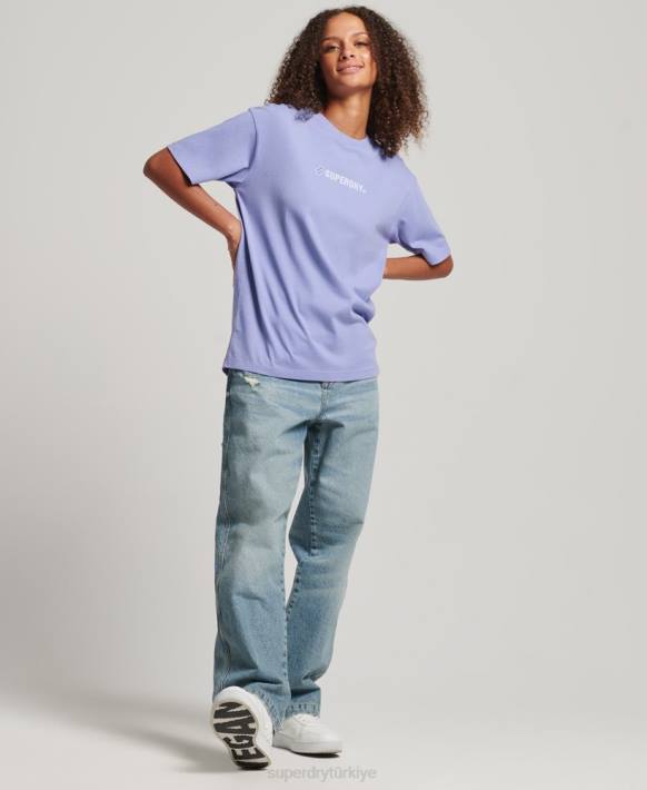 kadınlar Superdry mor logo aplike bol tişört NNTB6199
