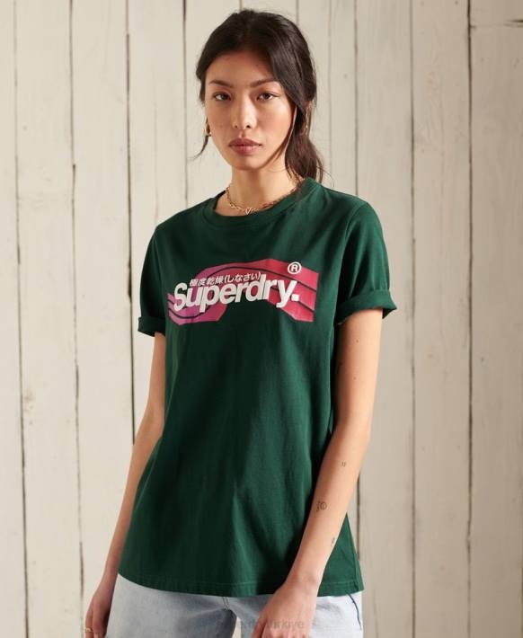 kadınlar Superdry turkuaz core logolu cali t-shirt NNTB6253