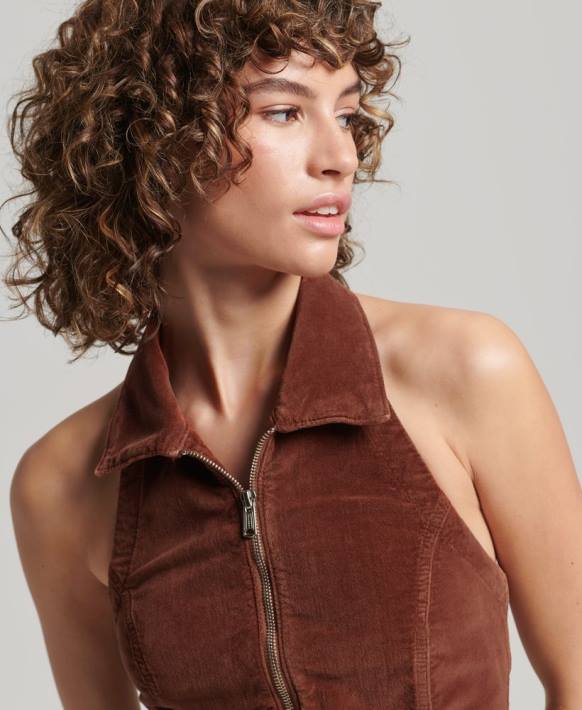 kadınlar Superdry kahverengi yakalı fermuarlı kadife top NNTB2092